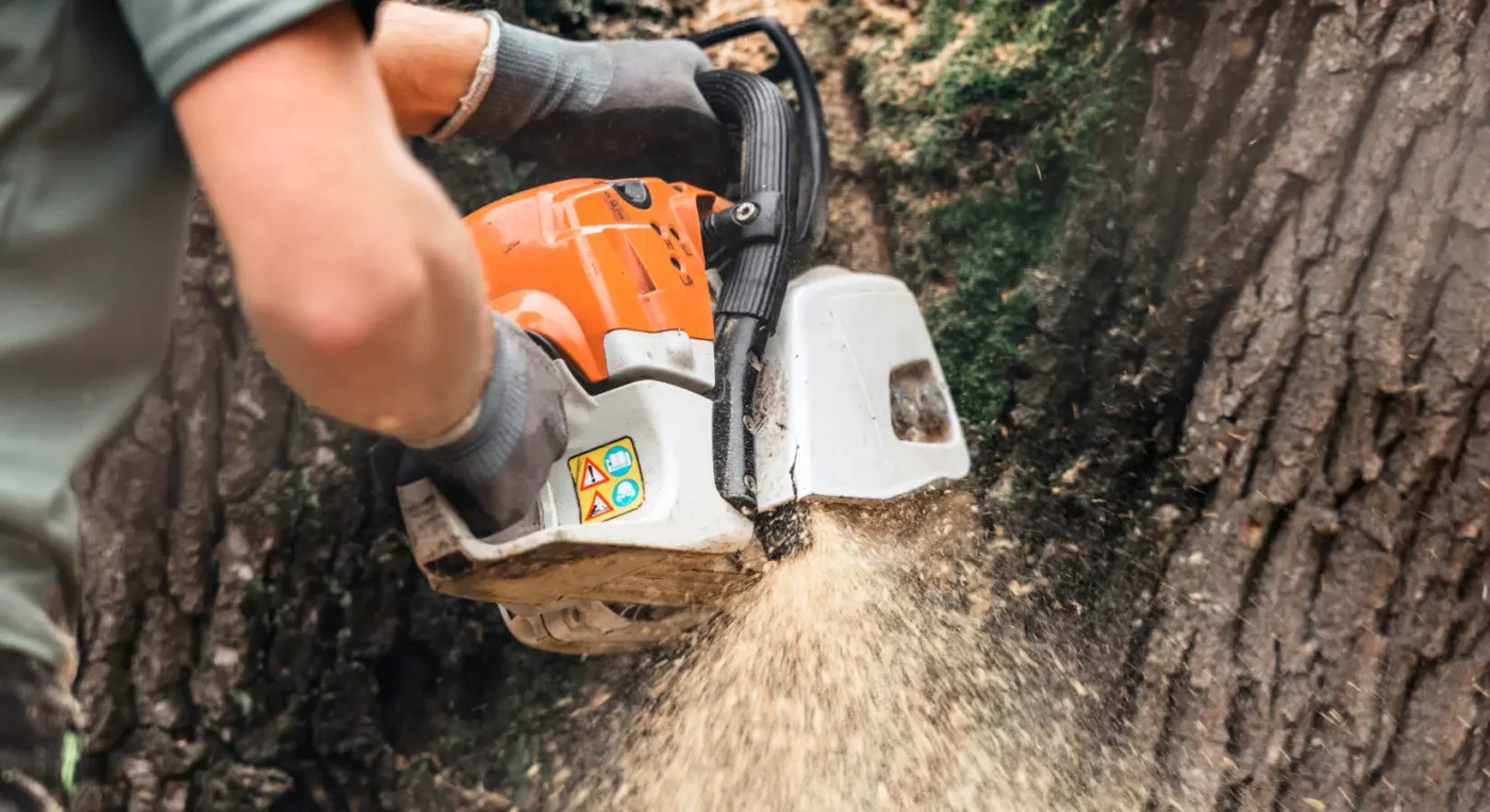 tree services worker using a chainsaw to cut a tree trunk