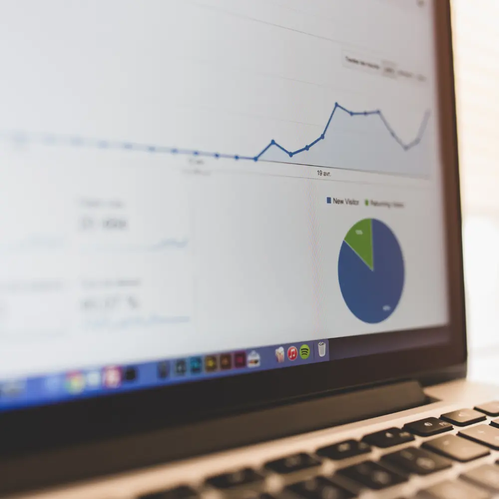 website analytics dashboard showing traffic growth and visitor data seo